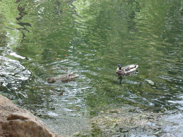 Татьяна Осолодкова