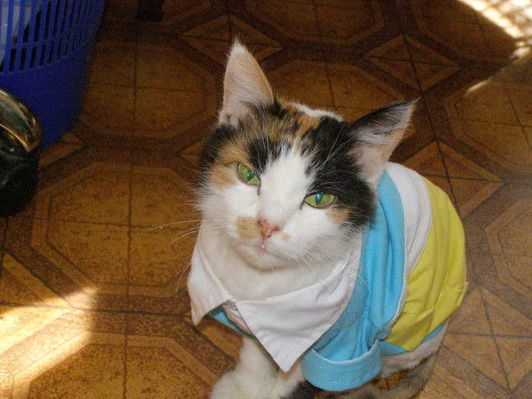 Марина Беспалова