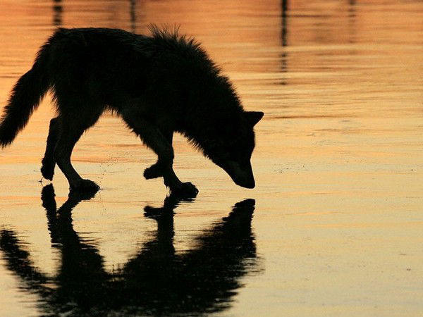 Вспышка Солнца