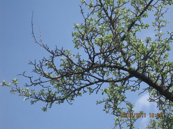 Лариса Пономаренко