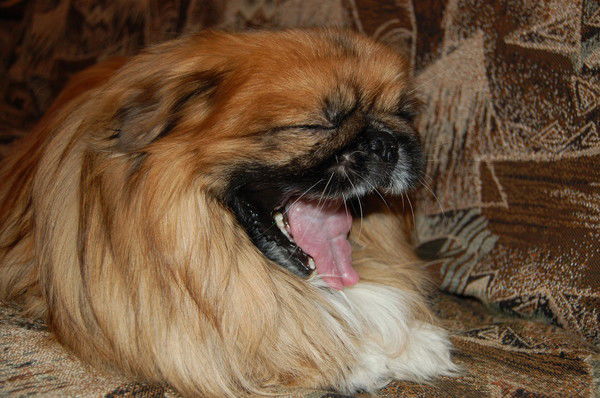 Наталья Махина