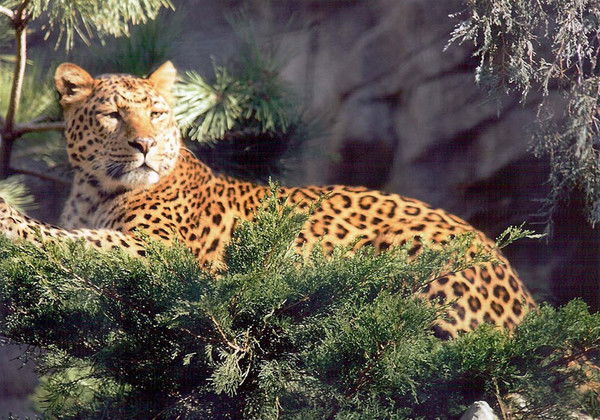 Ольга Ляшенко(Иванова)