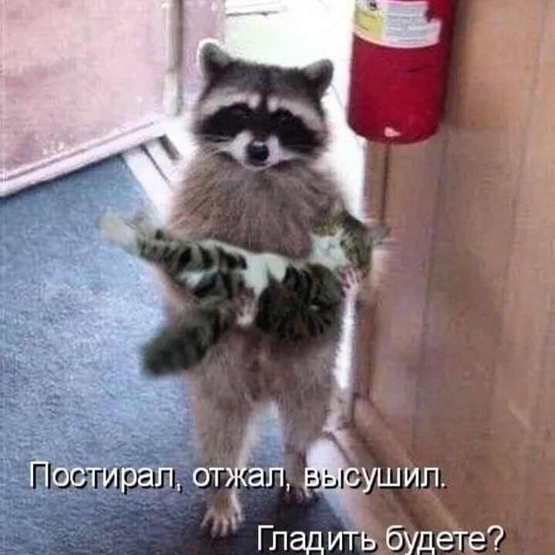 Михаил Сердечный