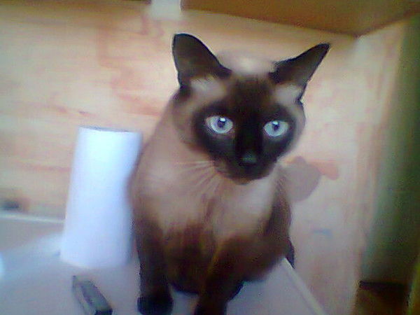 Инна Зинкичева