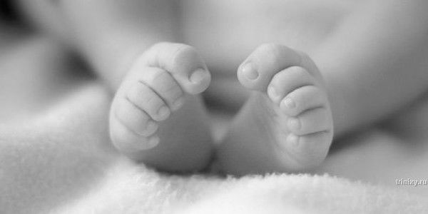 Анастасия Вавина