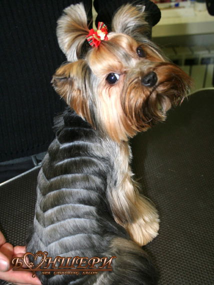 Лялина Хатуева