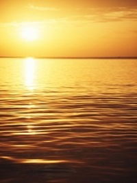 Марина Роутенберг