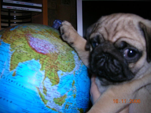 Станислав Быстров