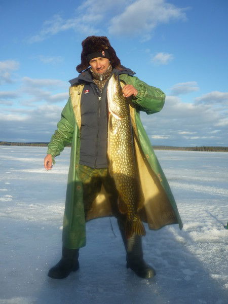 Александр Набока