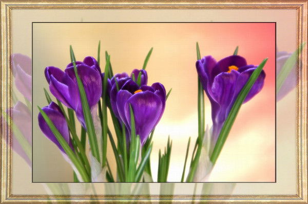 Ольга Сардыко