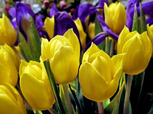 Гульнара Кентаева