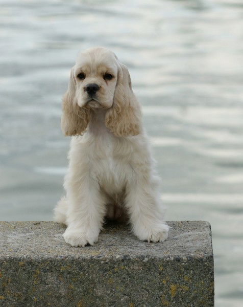 Ольга Бобрик