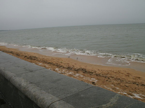 Александр Уряшев