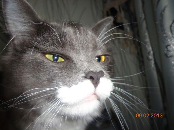 Вадим Величко