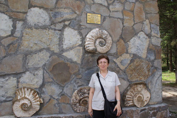 Людмила Ващенко