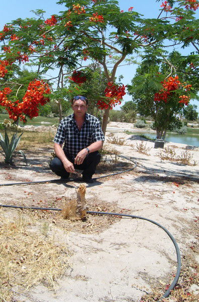 Иторь Вильде