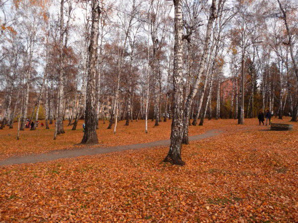 Слава Слюсарь