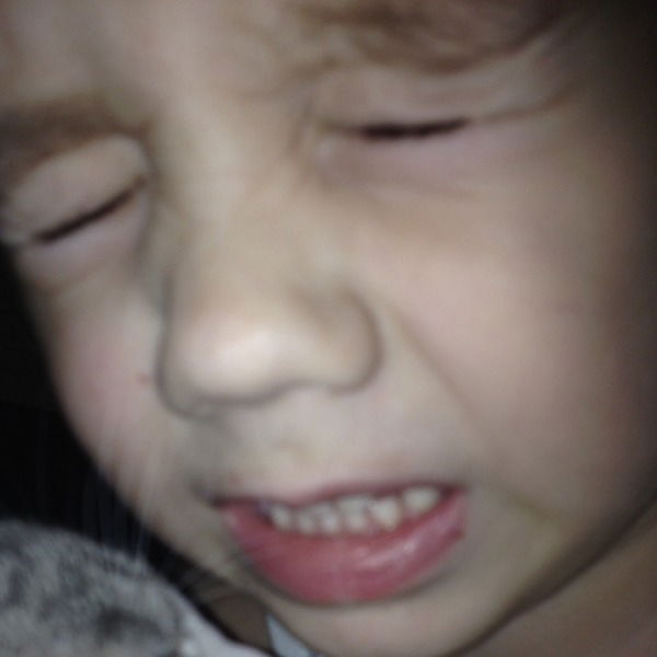 Тимофей Сеничев