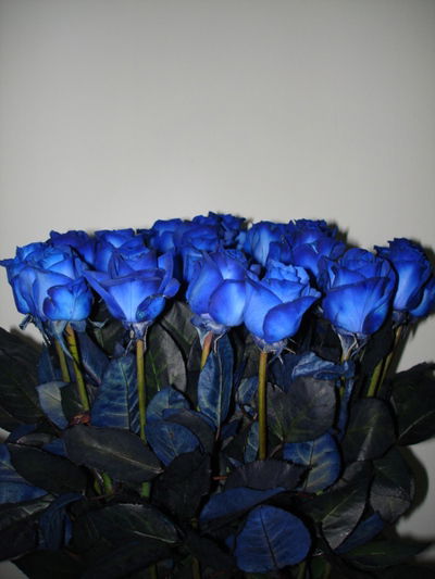 Неизвестно Неизвестно