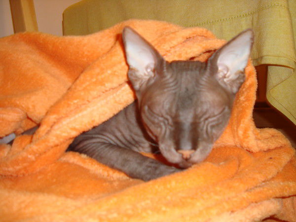 Ольга Савич