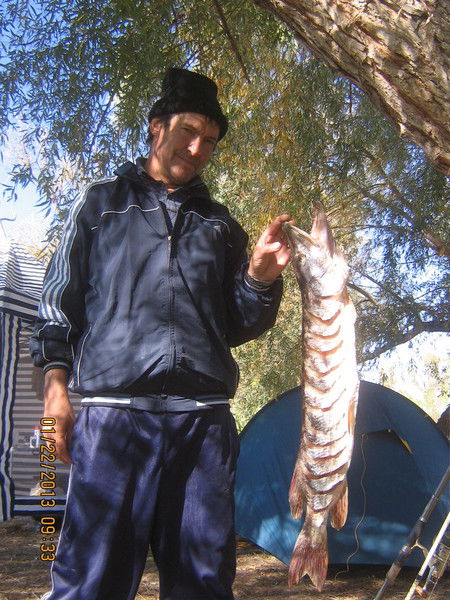 Александр Картаков