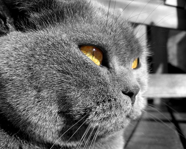 Марина Савченко