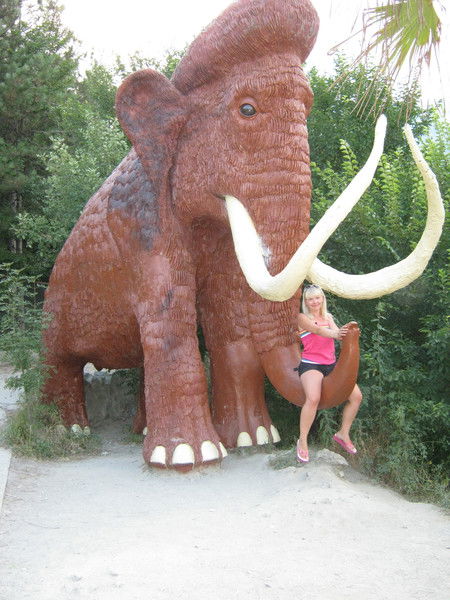 Елена Комарницкая