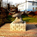 Марина Никитенкова