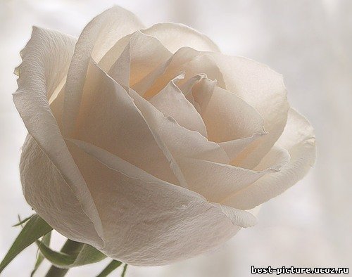 Отдел Предпринимательсва