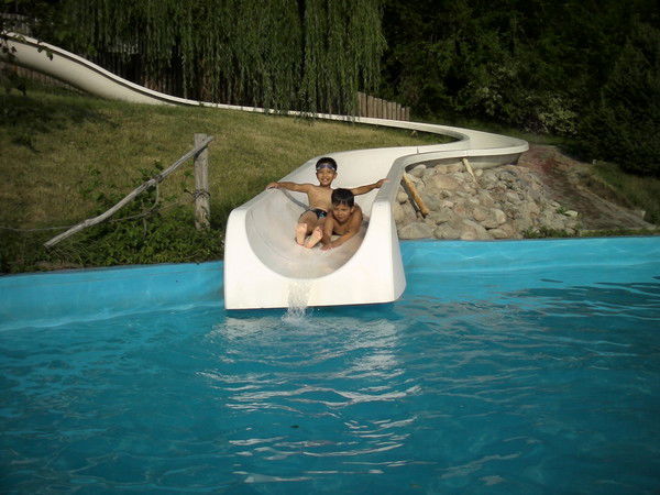 Анатолий Живетин