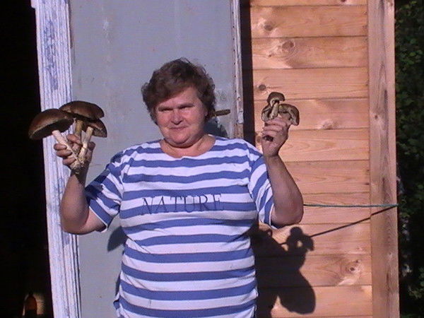 Елена Моисеева