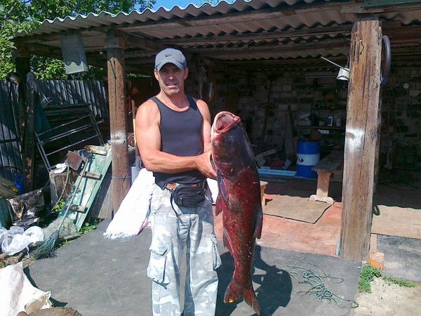 Владимир Петров