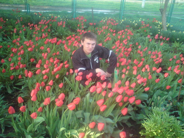 Алексей Дыба