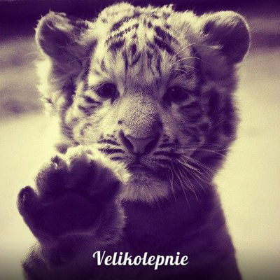 Кристина Слобцова