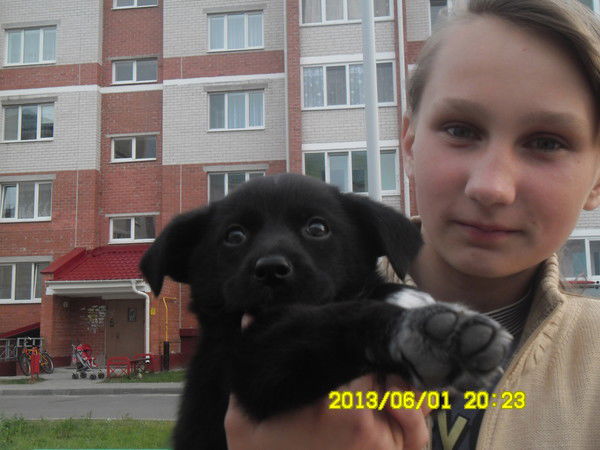 Яна Пархоцик