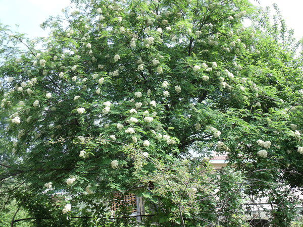 Андрей Милов