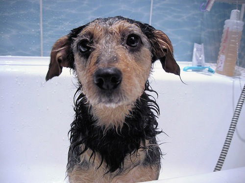 Сергей Машенькин