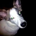 Василий Егоров