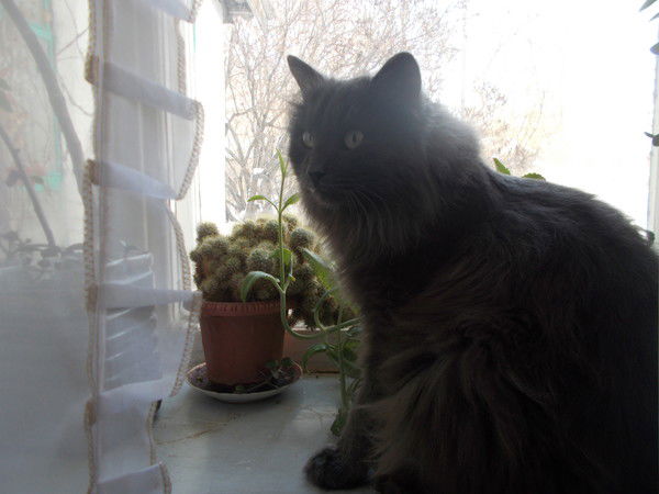 Лилия Мурзагалина