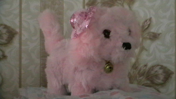 Валерий Иноземцев