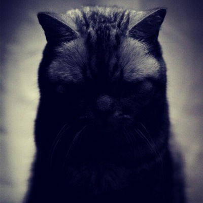 Сонечка Заваруева