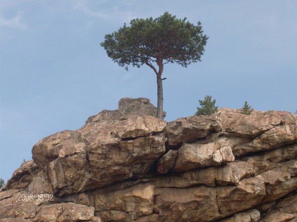 Сергей Мартынов