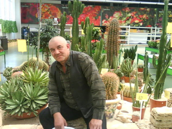 Владимир Степаненко