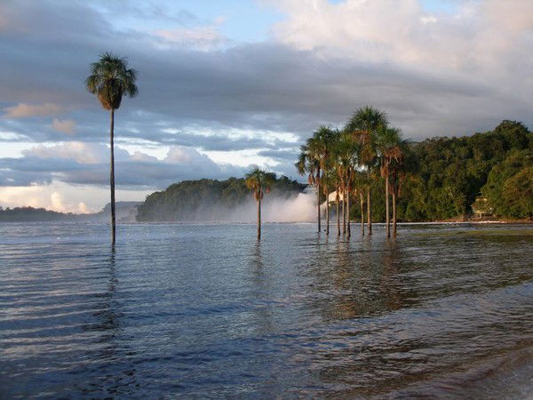 Алена Смитиенко