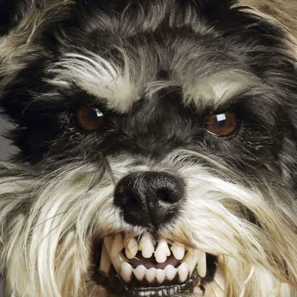 Эмиль Янбеков