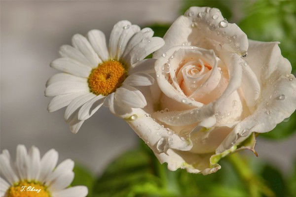 Айжан Адельбаева