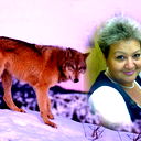 Светлана Ковалькова
