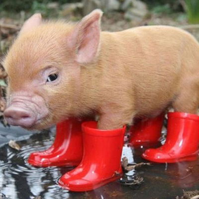 Ольга Кадырова