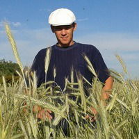 Алексей Сорокин