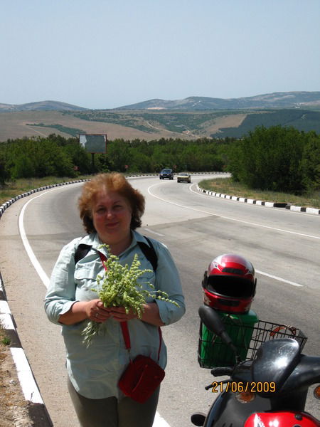 Светлана Покрыщук